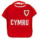FA Wales Kit Lunch Bag-TM-02122