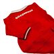 Wales RU Sleepsuit 6/9 mths SP
