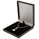 Tottenham Hotspur FC Silver Plated Boxed Pendant-TM-03616