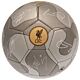 Liverpool FC Camo Sig Football