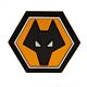 Wolverhampton Wanderers FC 3D Fridge Magnet-TM-04062