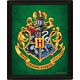 Harry Potter Slytherin Framed 3D Picture