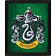 Harry Potter Slytherin Framed 3D Picture