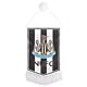 Newcastle United FC Mini Pennant-TM-04213