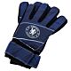 Chelsea FC Fuse Goalkeeper Gloves Yths-TM-04511