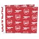 Arsenal FC Coloured Icon Wallet