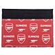 Arsenal FC Coloured Icon Card Holder-TM-06042