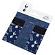 Tottenham Hotspur FC Coloured Icon Card Holder-TM-06046