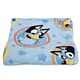 Bluey Frames Fleece Blanket-TM-05780