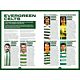 Celtic FC Annual 2026-TM-07176