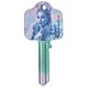 Wicked Door Key