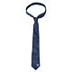Chelsea FC Paisley Tie