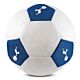 Tottenham Hotspur 14" Mesh Ball