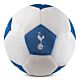 Tottenham Hotspur 14" Mesh Ball