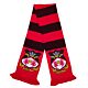 Wrexham AFC HD Bar Scarf-TM-07968