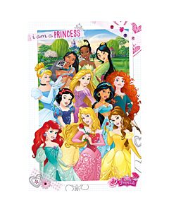 Disney Princess Poster 286 Maznun Football