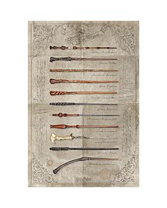 Harry Potter Poster Wands 161 Maznun Football