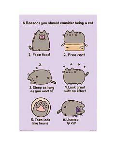 Pusheen Poster Reasons 157 Maznun Football