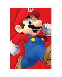 Super Mario Poster 221 Maznun Football