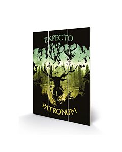 Harry Potter Expecto Patronum Wood Print Maznun Football