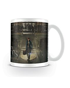 Fantastic Beasts Mug Maznun Football