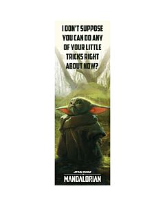 Star Wars: The Mandalorian Door Poster 307 Maznun Football