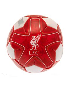 Liverpool FC 4 inch Soft Ball Maznun Football