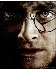 Harry Potter Framed 3D Picture Maznun Football