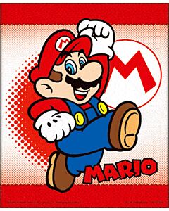 Super Mario Framed 3D Picture Maznun Football