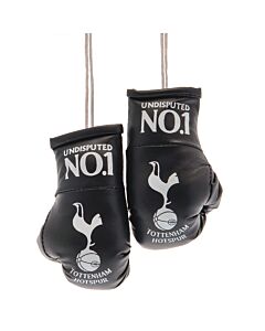 Tottenham Hotspur FC Mini Boxing Gloves Maznun Football