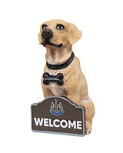 Newcastle United FC Labrador Gnome Maznun Football