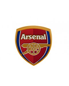Arsenal FC 3D Fridge Magnet Maznun Football