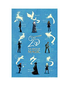 Harry Potter 25 Years Poster 60 Maznun Football