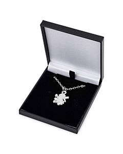 Aston Villa FC Silver Plated Boxed Lion Pendant Maznun Football